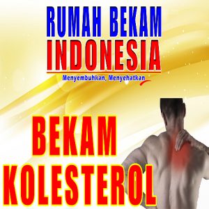 Bekam KOLESTEROL
